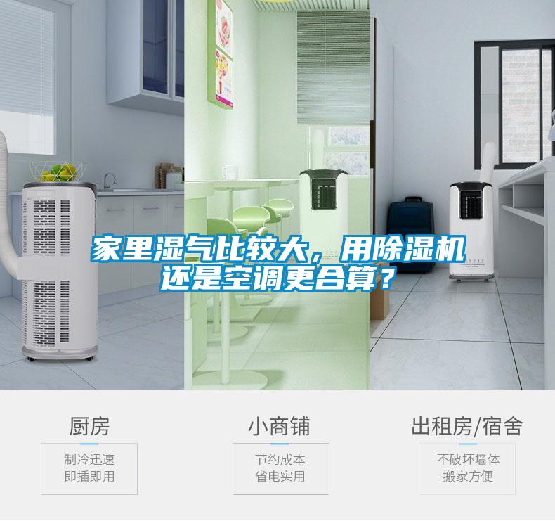 家里濕氣比較大，用除濕機還是空調更合算？