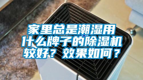 家里總是潮濕用什么牌子的除濕機較好？效果如何？