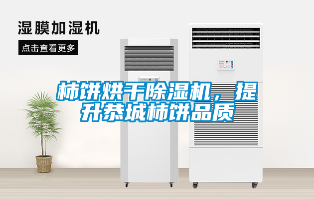 柿餅烘干除濕機，提升恭城柿餅品質