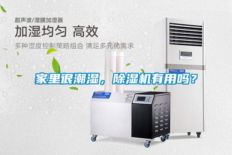 家里很潮濕，除濕機有用嗎？