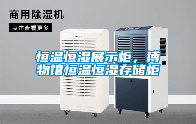 恒溫恒濕展示柜，博物館恒溫恒濕存儲柜