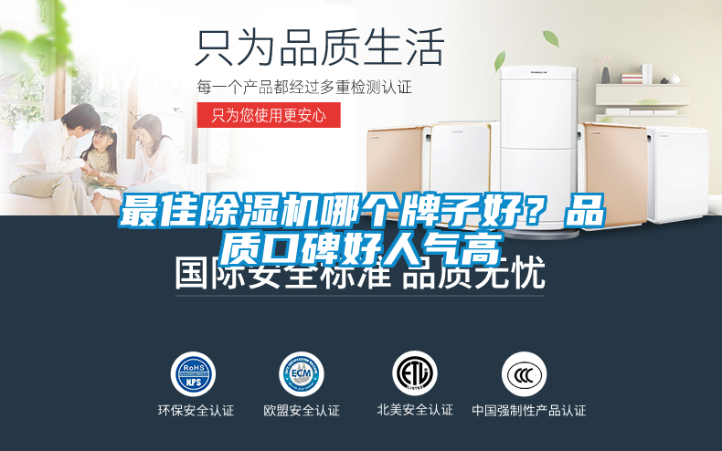 最佳除濕機哪個牌子好？品質口碑好人氣高