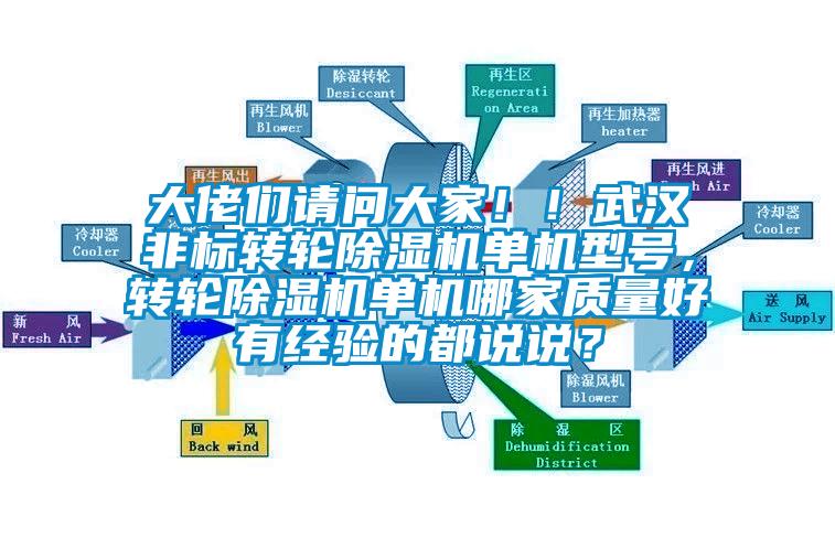 大佬們請問大家??！武漢非標轉輪除濕機單機型號，轉輪除濕機單機哪家質量好有經驗的都說說？