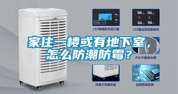 家住一樓或有地下室，怎么防潮防霉？