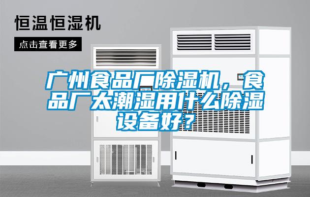 廣州食品廠除濕機，食品廠太潮濕用什么除濕設備好？