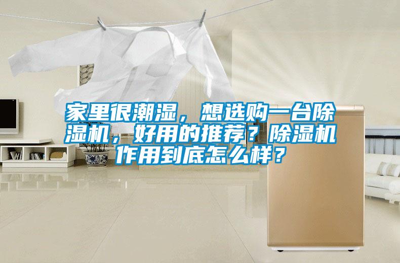 家里很潮濕，想選購一臺除濕機，好用的推薦？除濕機作用到底怎么樣？