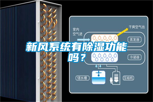 新風系統有除濕功能嗎？