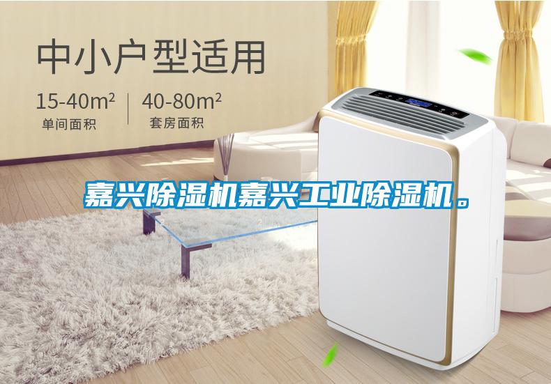 嘉興除濕機嘉興工業除濕機。