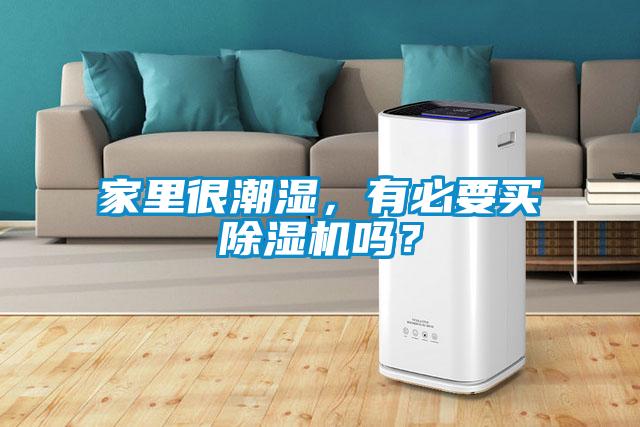 家里很潮濕，有必要買除濕機嗎？
