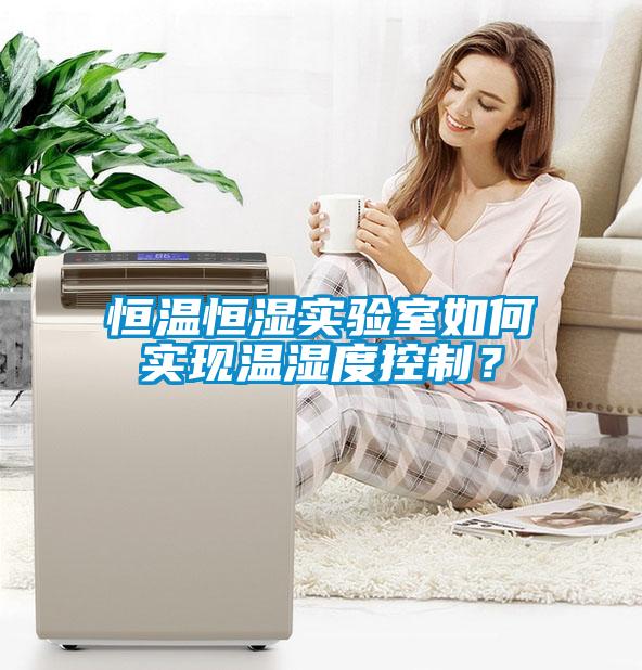 恒溫恒濕實驗室如何實現溫濕度控制？