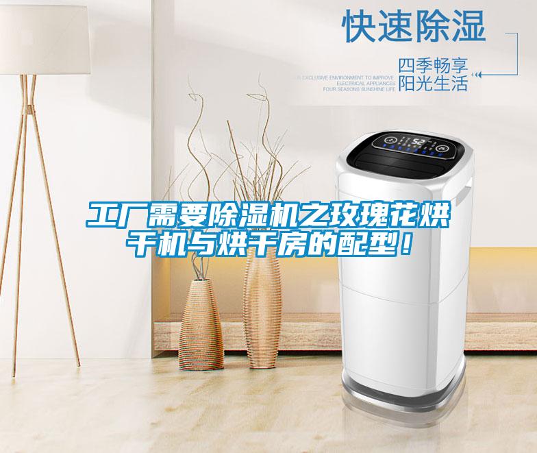 工廠需要除濕機之玫瑰花烘干機與烘干房的配型！