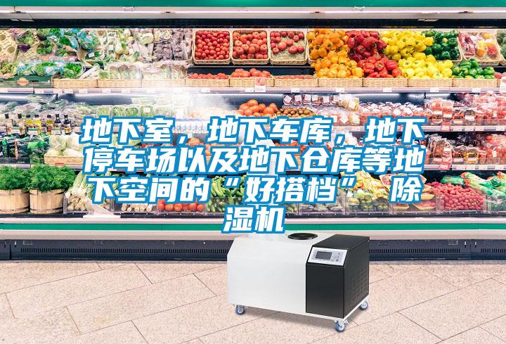 地下室，地下車庫，地下停車場以及地下倉庫等地下空間的“好搭檔” 除濕機