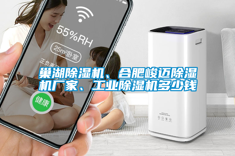 巢湖除濕機、合肥峻邁除濕機廠家、工業除濕機多少錢
