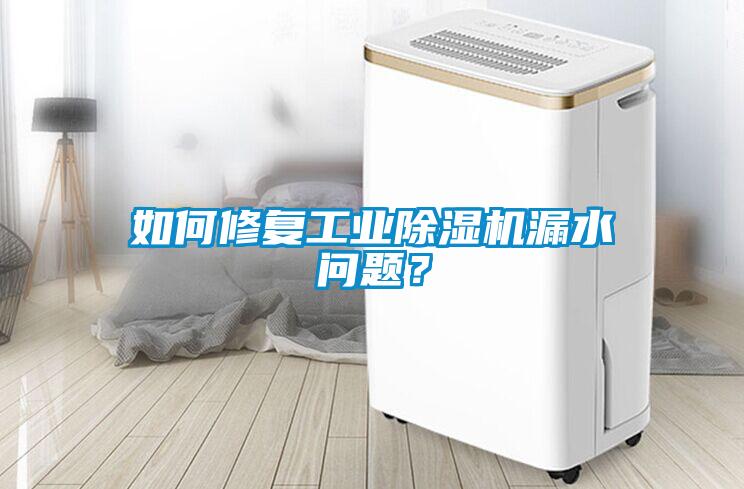 如何修復工業除濕機漏水問題？