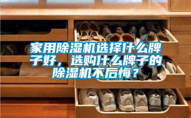 家用除濕機選擇什么牌子好，選購什么牌子的除濕機不后悔？