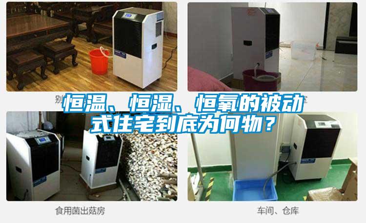 恒溫、恒濕、恒氧的被動式住宅到底為何物？