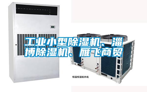 工業小型除濕機、淄博除濕機、雁飛商貿