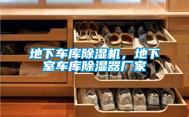 地下車庫除濕機，地下室車庫除濕器廠家