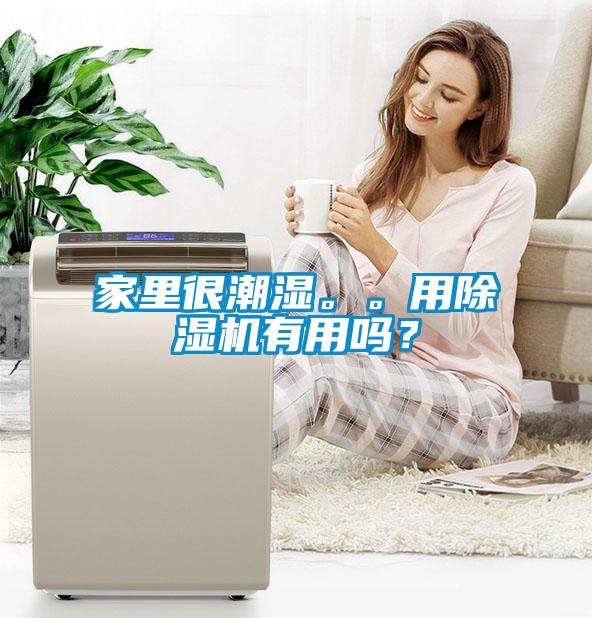 家里很潮濕。。用除濕機有用嗎？