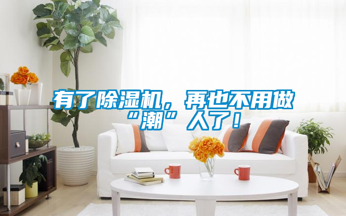 有了除濕機，再也不用做“潮”人了！