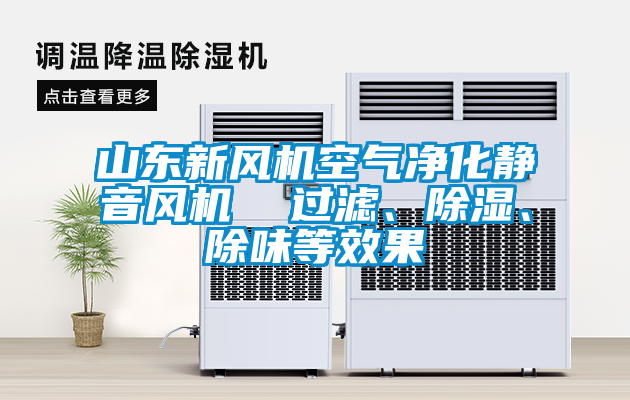 山東新風機空氣凈化靜音風機  過濾、除濕、除味等效果