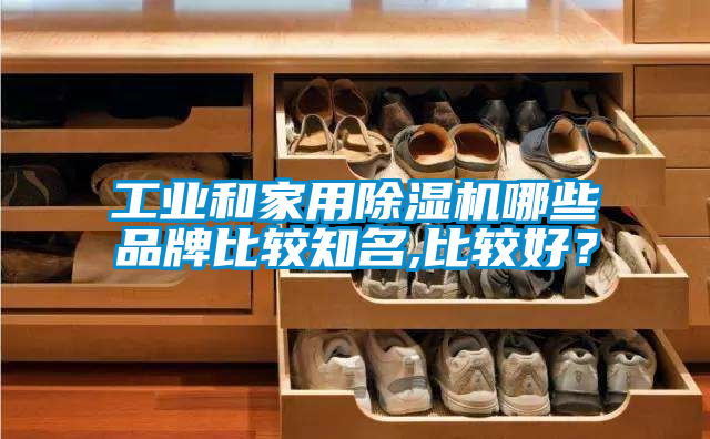 工業和家用除濕機哪些品牌比較知名,比較好？