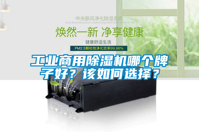 工業商用除濕機哪個牌子好？該如何選擇？