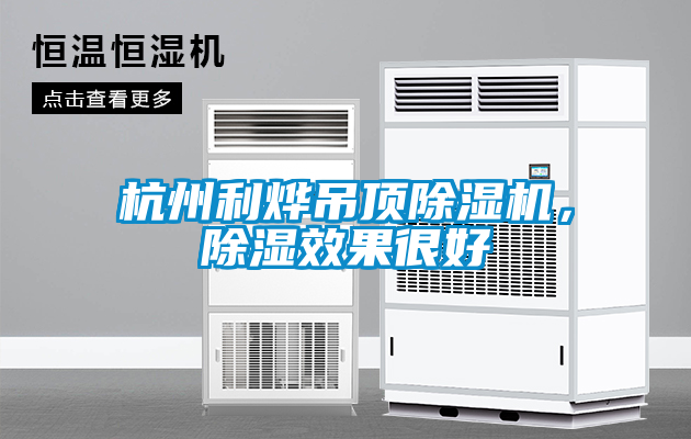 杭州利燁吊頂除濕機，除濕效果很好