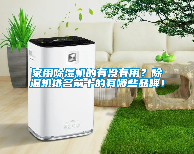 家用除濕機的有沒有用？除濕機排名前十的有哪些品牌！