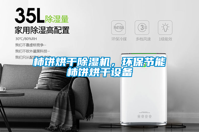 柿餅烘干除濕機，環保節能柿餅烘干設備
