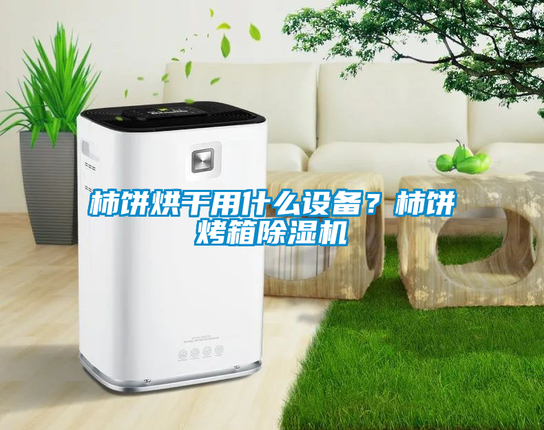 柿餅烘干用什么設備？柿餅烤箱除濕機