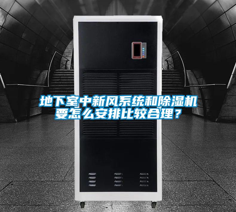 地下室中新風系統和除濕機要怎么安排比較合理？