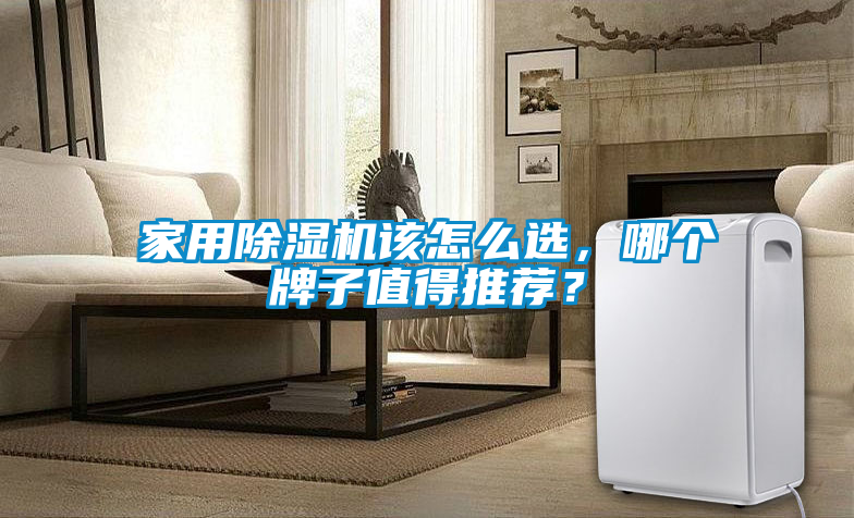 家用除濕機該怎么選，哪個牌子值得推薦？