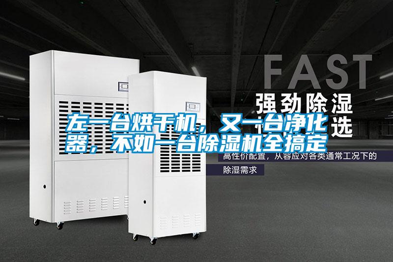 左一臺烘干機，又一臺凈化器，不如一臺除濕機全搞定