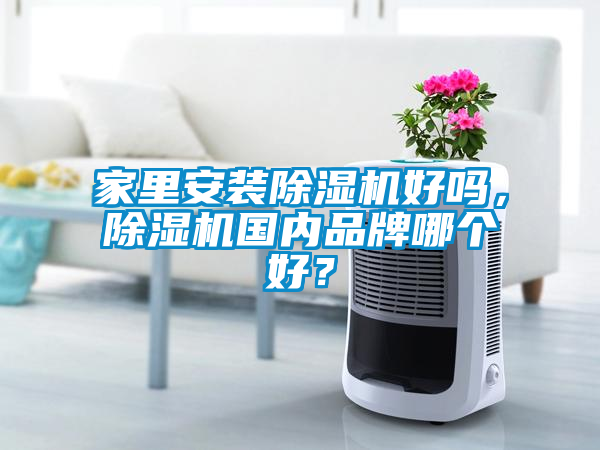 家里安裝除濕機好嗎，除濕機國內品牌哪個好？