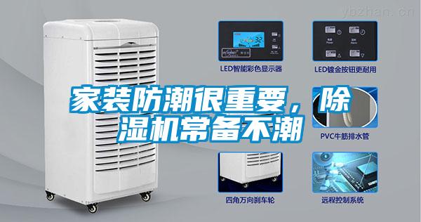 家裝防潮很重要，除濕機常備不潮