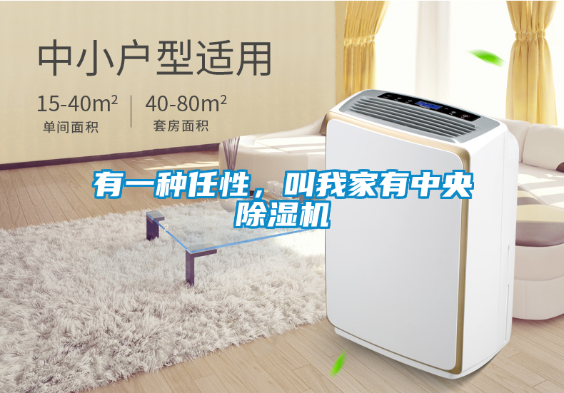 有一種任性，叫我家有中央除濕機