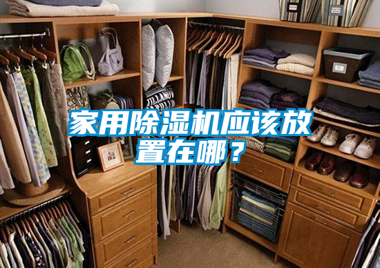 家用除濕機應該放置在哪？