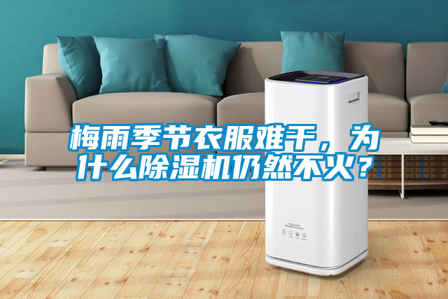 梅雨季節衣服難干，為什么除濕機仍然不火？