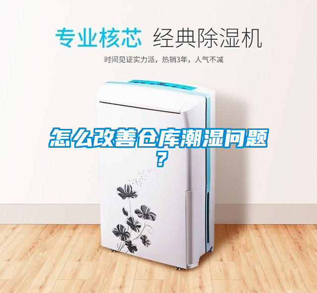 怎么改善倉庫潮濕問題？
