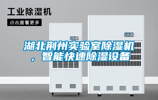 湖北荊州實驗室除濕機，智能快速除濕設備