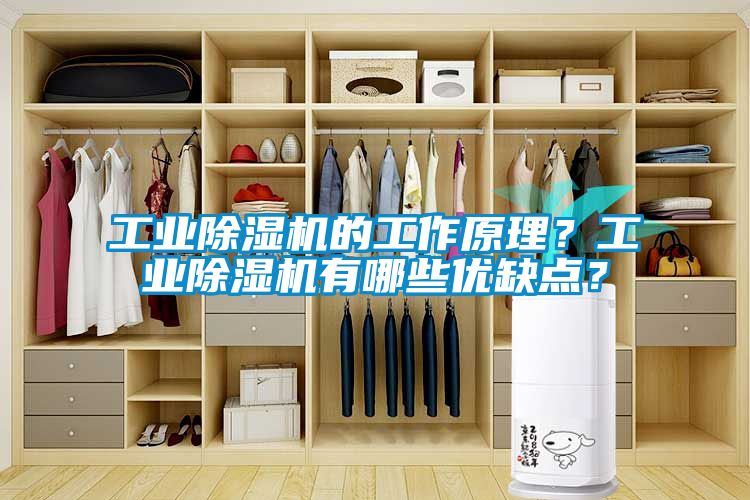 工業除濕機的工作原理？工業除濕機有哪些優缺點？