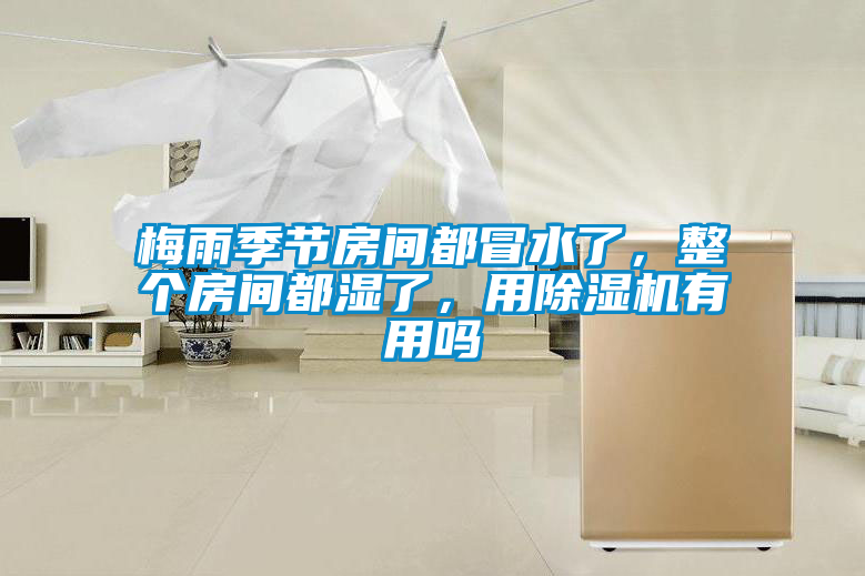 梅雨季節房間都冒水了，整個房間都濕了，用除濕機有用嗎