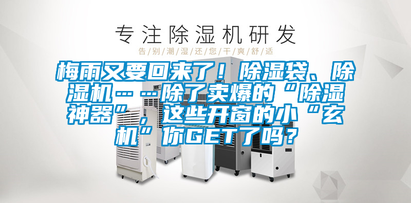 梅雨又要回來了！除濕袋、除濕機……除了賣爆的“除濕神器”，這些開窗的小“玄機”你GET了嗎？
