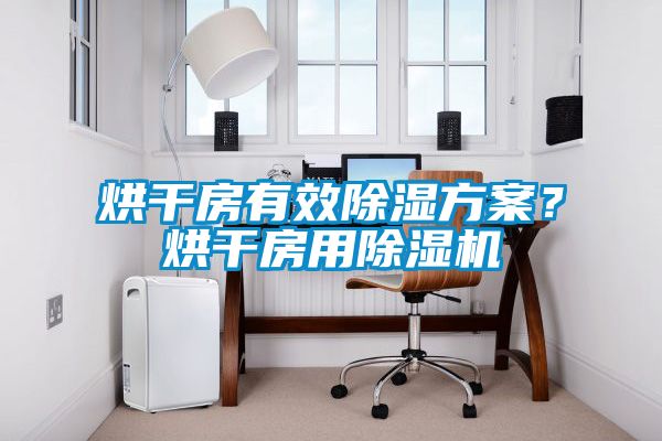 烘干房有效除濕方案？烘干房用除濕機