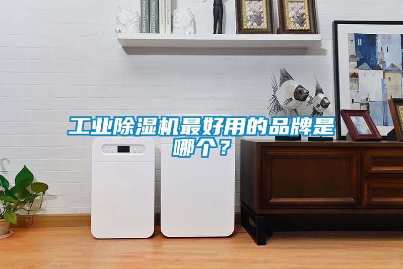工業除濕機最好用的品牌是哪個？