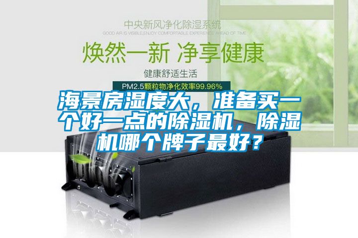 海景房濕度大，準備買一個好一點的除濕機，除濕機哪個牌子最好？