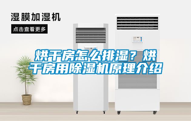 烘干房怎么排濕？烘干房用除濕機原理介紹