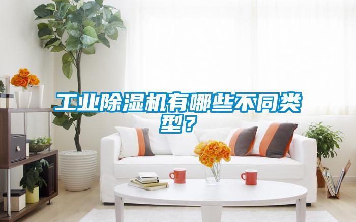 工業除濕機有哪些不同類型？