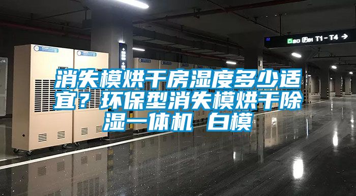 消失模烘干房濕度多少適宜？環保型消失模烘干除濕一體機 白模
